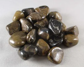 25% OFF!  Stromatolite Polished Stone 2pc T312**