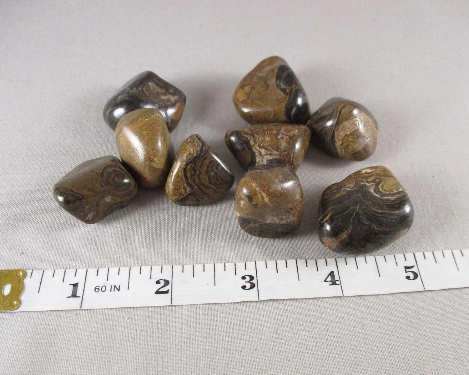 25% OFF!  Stromatolite Polished Stone 2pc T312**