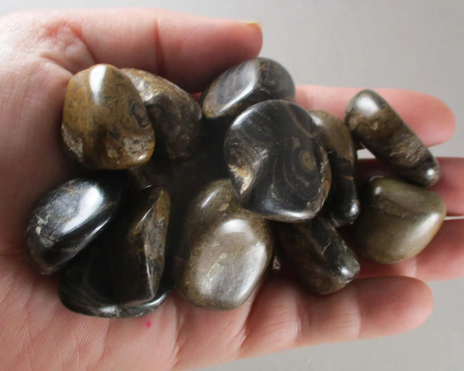 25% OFF!  Stromatolite Polished Stone 2pc T312**