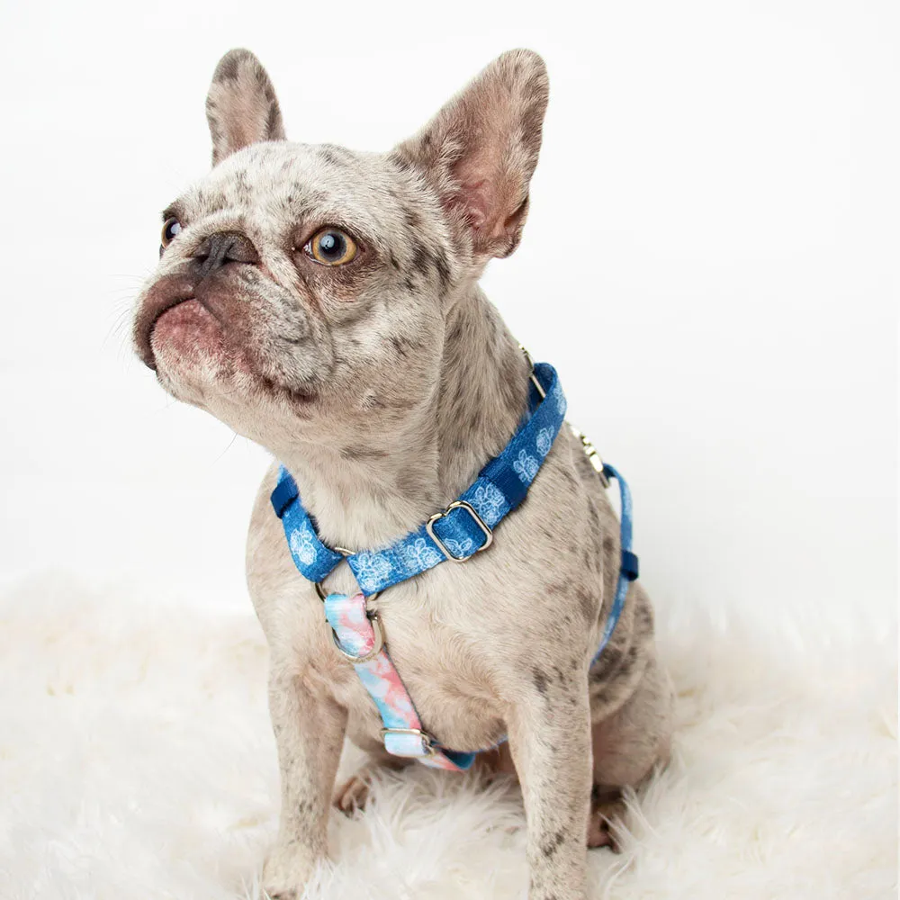 Adjustable Pet Health Strap Harness | Denim