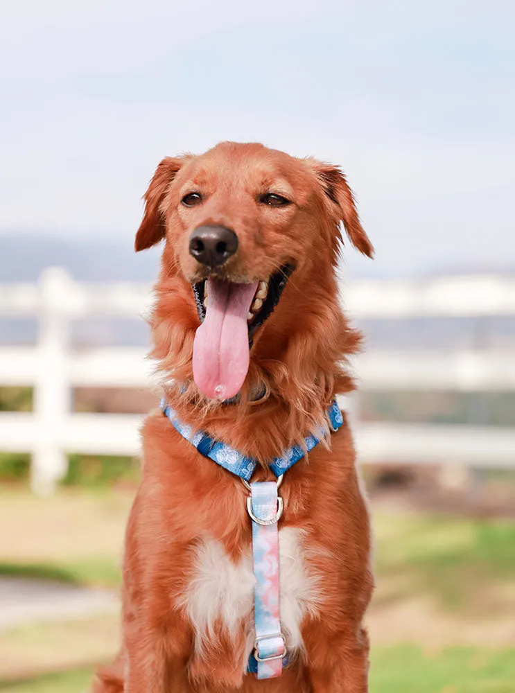 Adjustable Pet Health Strap Harness | Denim