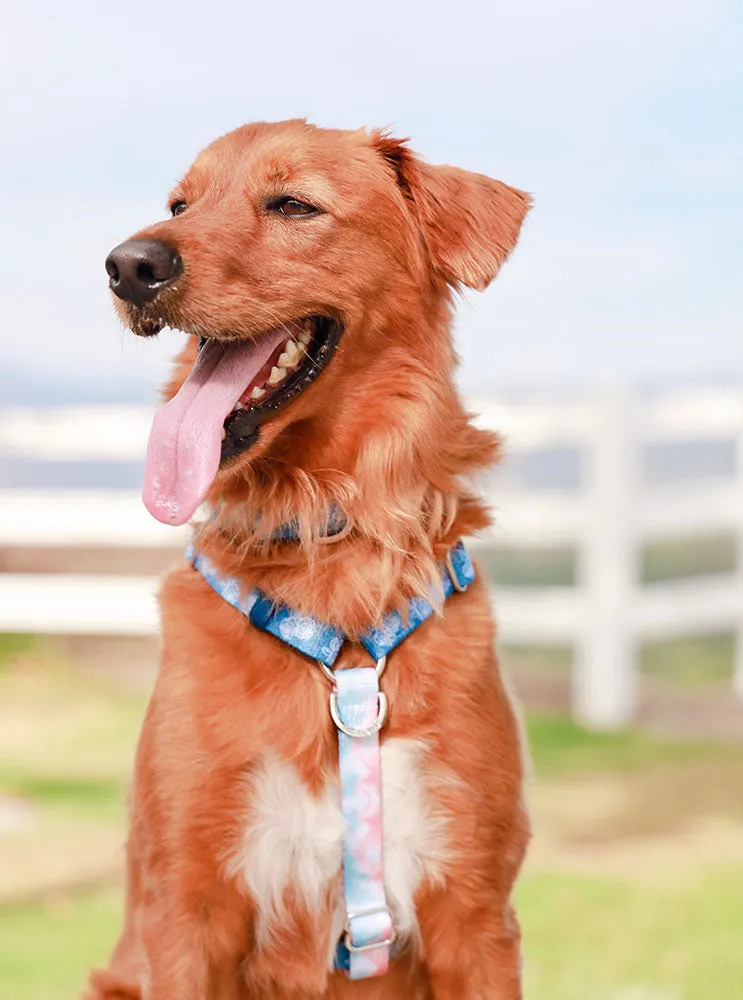 Adjustable Pet Health Strap Harness | Denim