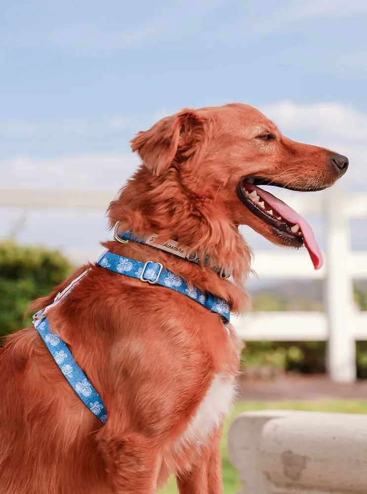 Adjustable Pet Health Strap Harness | Denim