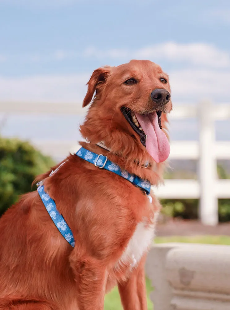 Adjustable Pet Health Strap Harness | Denim