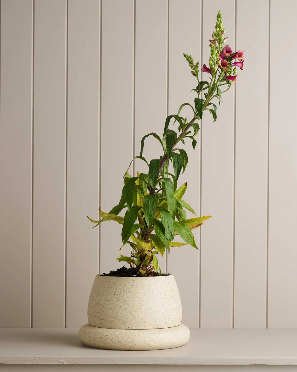 Robert Gordon - Cloud Planter - Large - White Speckle